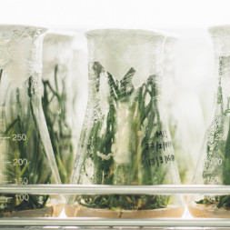 Nature Longevity Technology: Studien zu unseren Wirkstoffen