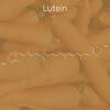 Lutein Strukturformel